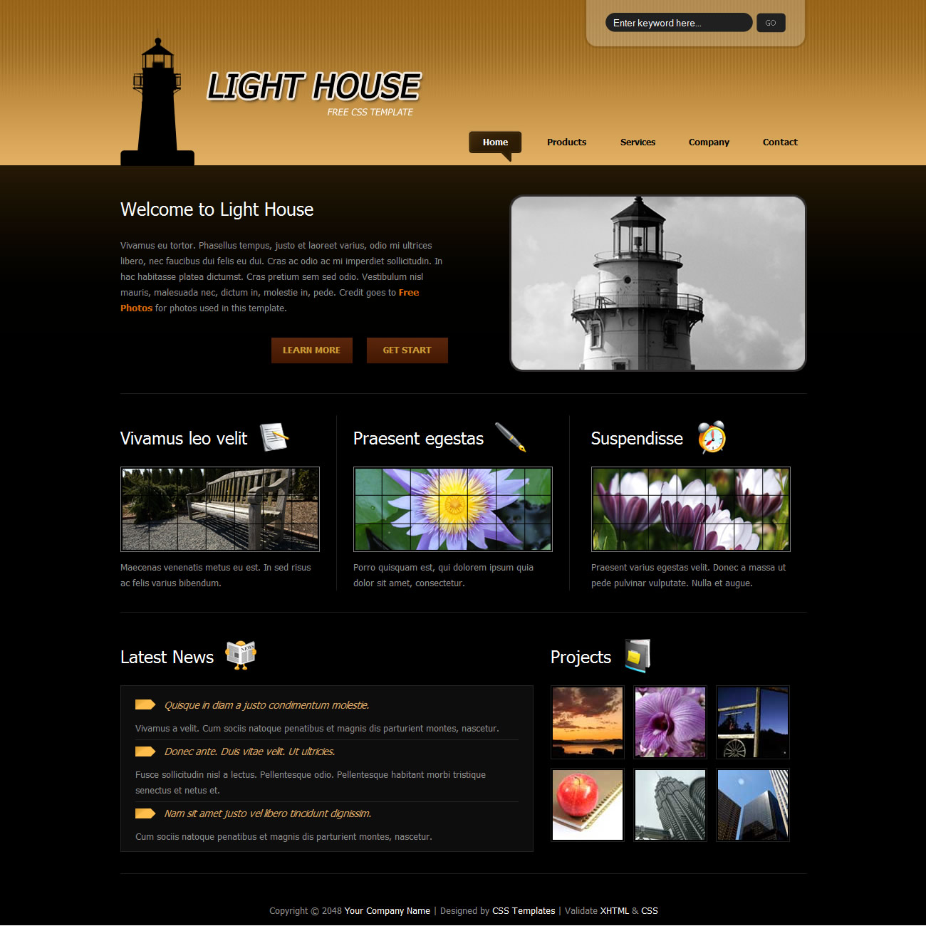 templatemo 265 light house