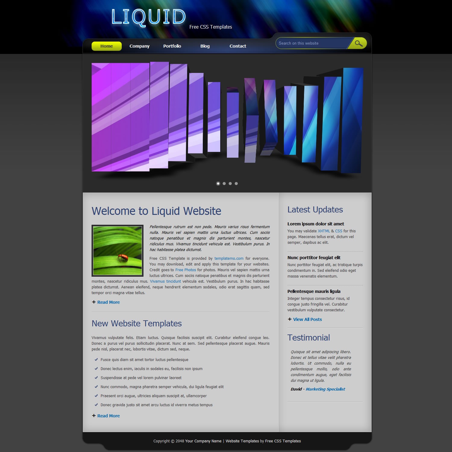 templatemo 293 liquid