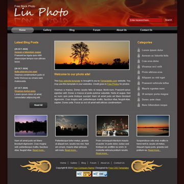 Lin Photo Template